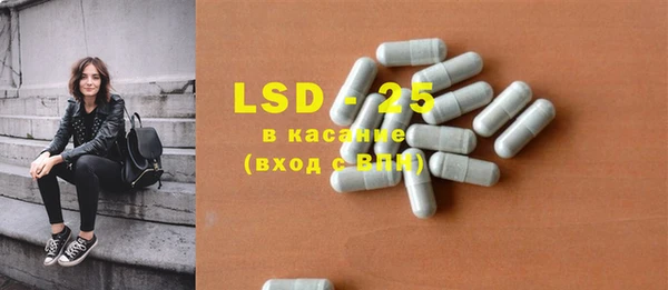 ГАЛЛЮЦИНОГЕННЫЕ ГРИБЫ Бородино