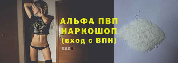 ГАЛЛЮЦИНОГЕННЫЕ ГРИБЫ Бородино