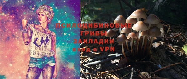 mdpv Бугульма
