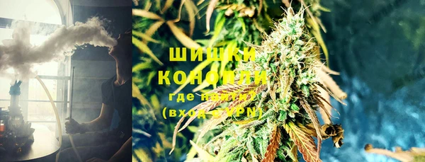ГАЛЛЮЦИНОГЕННЫЕ ГРИБЫ Бородино
