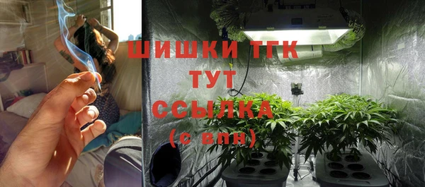 ГАЛЛЮЦИНОГЕННЫЕ ГРИБЫ Бородино