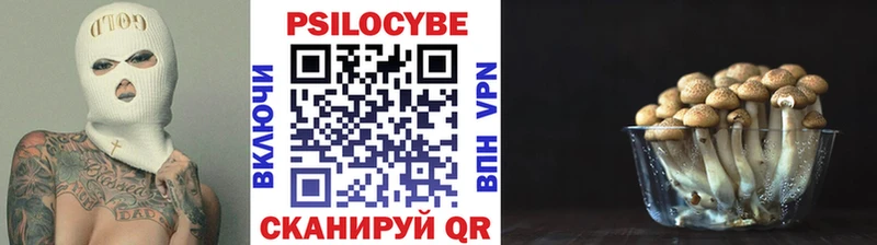 Купить  Алексеевка  Галлюциногенные грибы Psilocybine cubensis 